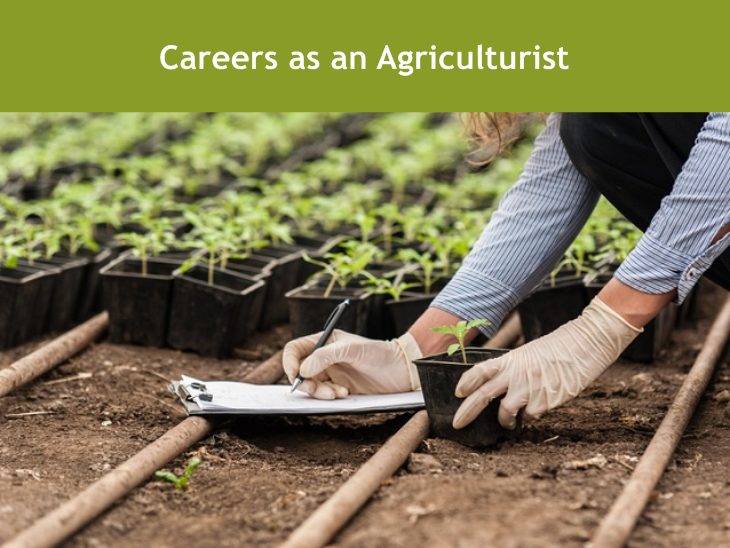 Careers as an Agriculturist